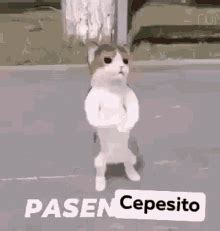 Cepesito (@cepesitoposting.
